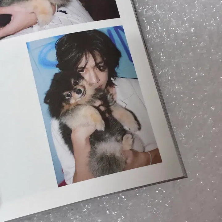 [BUNJANG] BTS V Layover Album / BTS 뷔 V Layover 앨범 판매