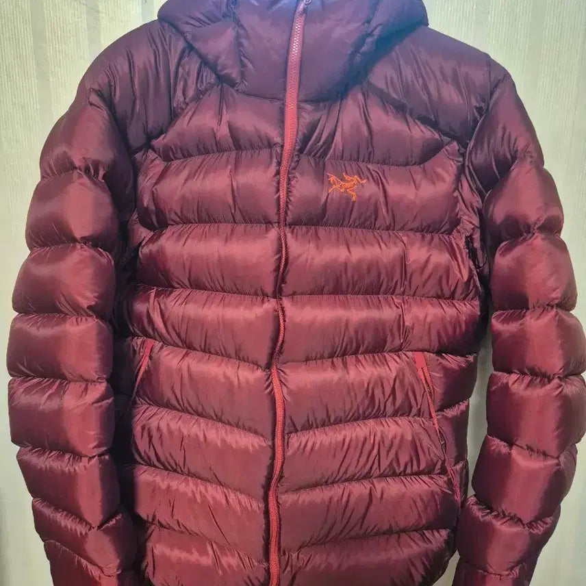 [BUNJANG] Arc'teryx Cerium SV Jacket / 아크테릭스 세륨 SV 팝니다.
