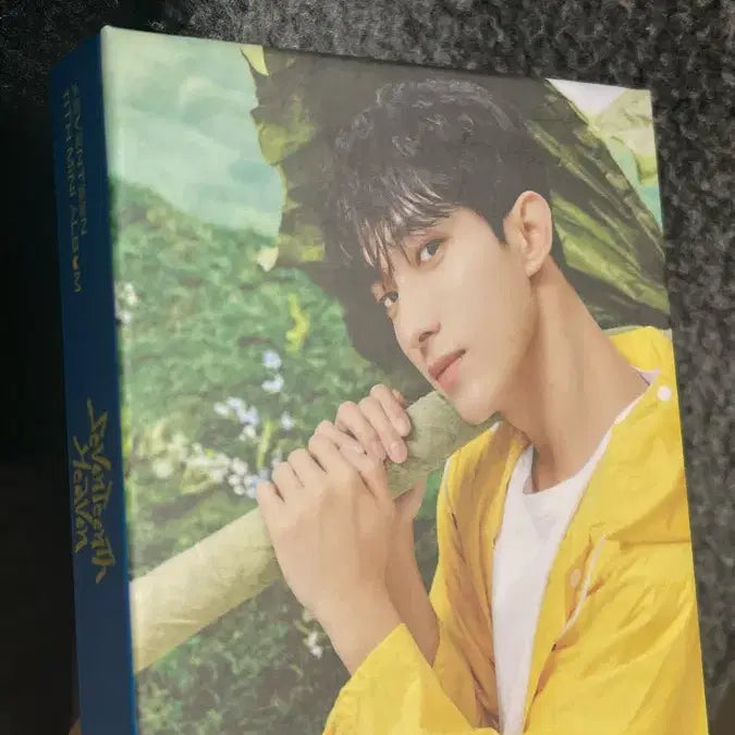 [BUNJANG] SEVENTEEN Bundle Set Photocard / 세븐틴 포카 급처 일괄