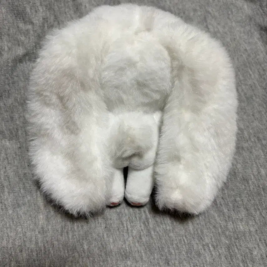 [BUNJANG] Unspecified 10cm Doll / 무속성 포리 별빛포리 10cm 인형