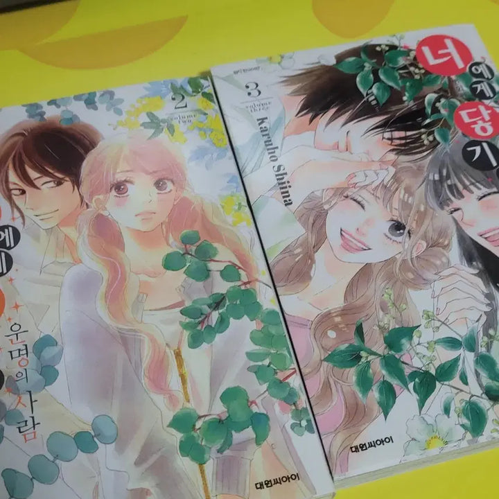 [BUNJANG] NCT Dream 너에게 닿기를 Bundle Set Comic Book / 너에게 닿기를 만화책 2,3권 [번외편] [일괄]