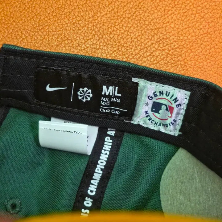 [BUNJANG] Nike C01-2 Hat / (새상품) 나이키 모자 c01-2