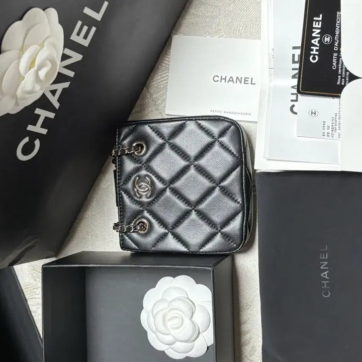 [BUNJANG] Chanel Two-Line Chain Mini Bag / 샤넬 두줄체인 미니백
