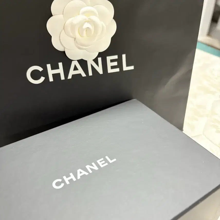 [BUNJANG] Chanel Two-Line Chain Mini Bag / 샤넬 두줄체인 미니백