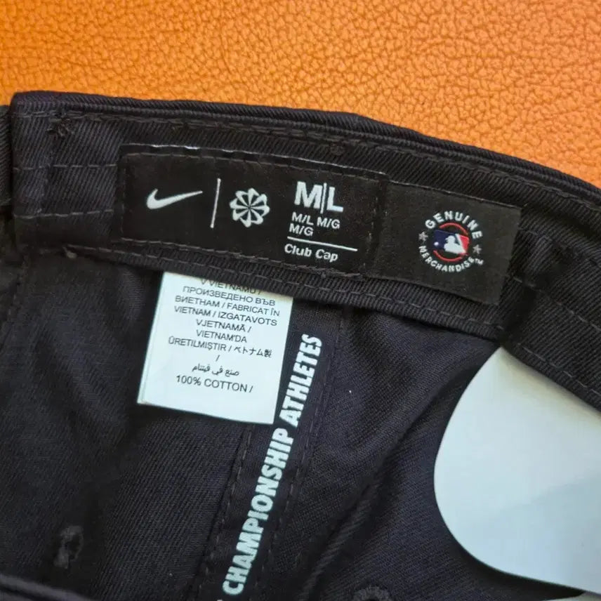 [BUNJANG] Nike C09 Hat / (새상품) 나이키 모자 c09