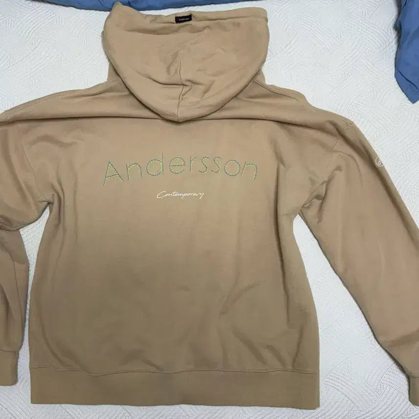 [BUNJANG] Anderson .Paak Hoodie / 앤더슨벨 후드티