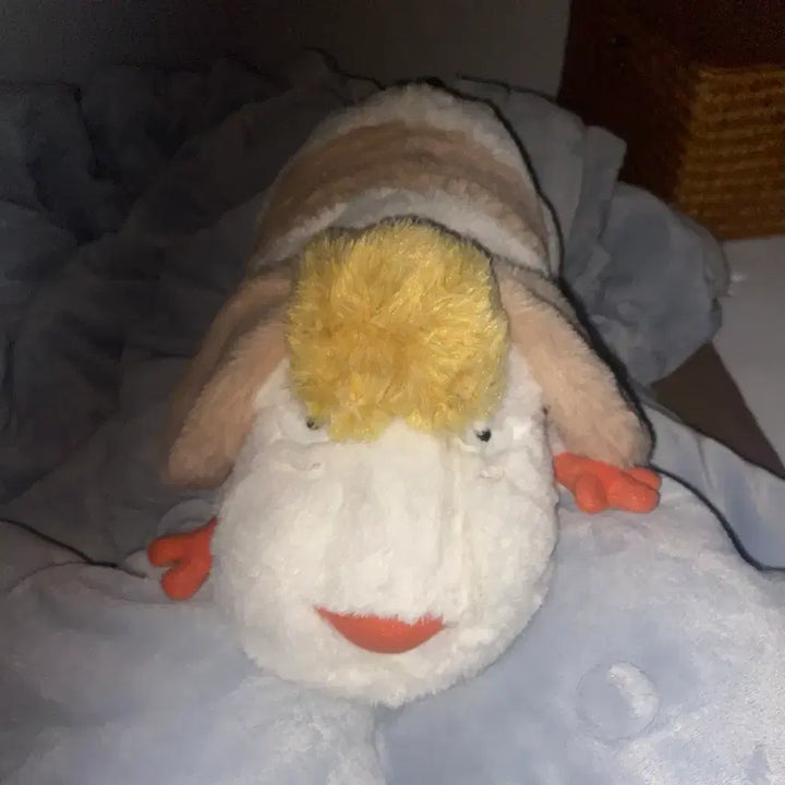 [BUNJANG] Haul Hin Doll (M Size) / 미개봉급 하울 힌 인형 m사이즈?