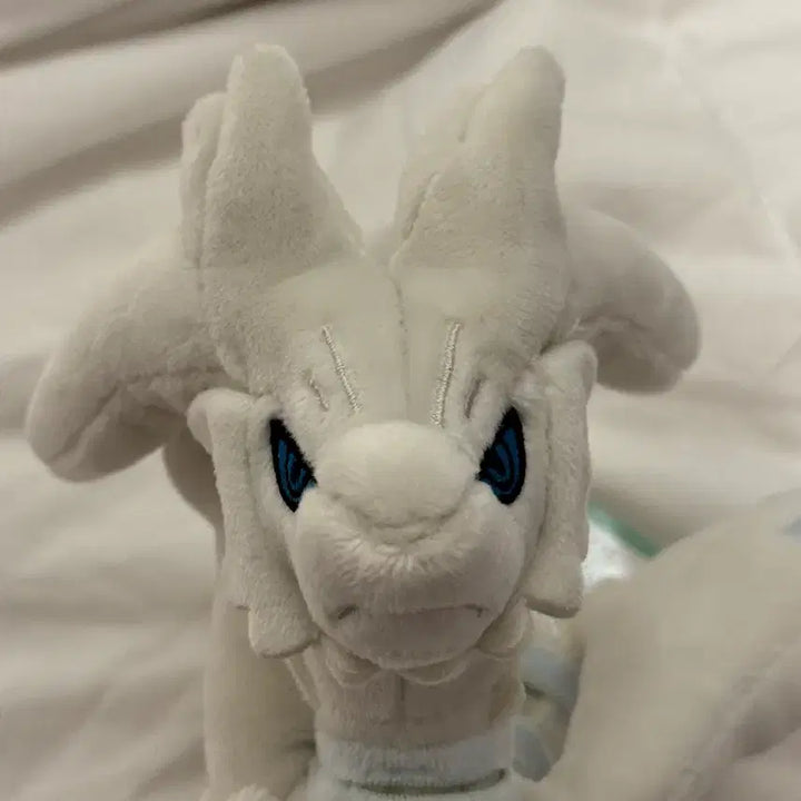 [BUNJANG] Pokemon Center Reshiram Fit Plush / 미개봉 현물 포켓몬 센터 한정 레시라무 fit 인형 누이 핏