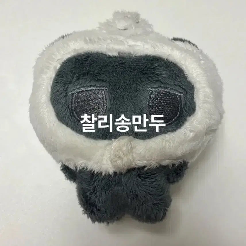 [BUNJANG] RIIZE Eunseok Songmandu Cat Doll / 라이즈 은석 송만두냥 인형 양도 판매