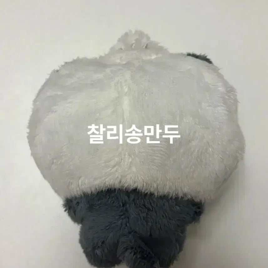 [BUNJANG] RIIZE Eunseok Songmandu Cat Doll / 라이즈 은석 송만두냥 인형 양도 판매