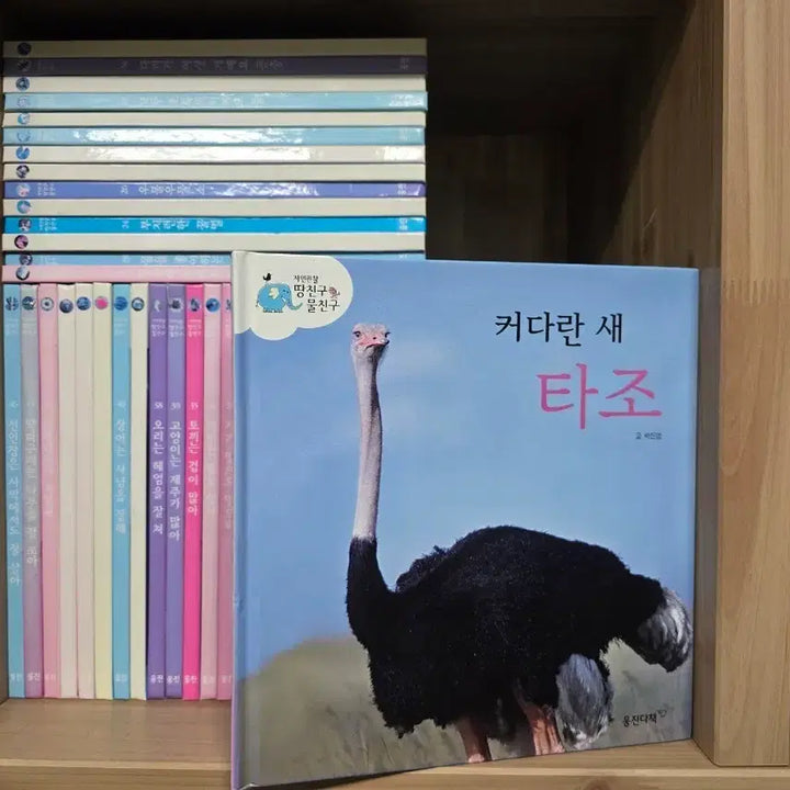 [BUNJANG] Woongjin Smart Books Nature Observation Set / 웅진다책    자연관찰 땅 친구 물 친구 55권+길잡이책