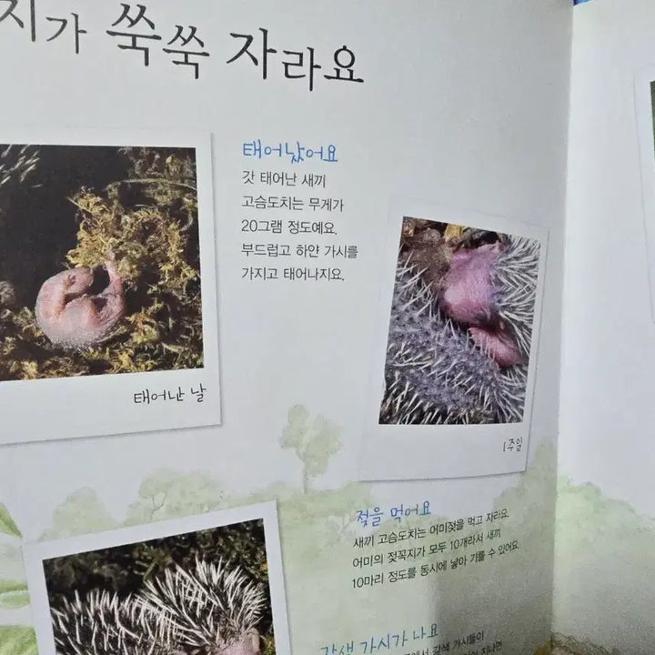 [BUNJANG] Woongjin Smart Books Nature Observation Set / 웅진다책    자연관찰 땅 친구 물 친구 55권+길잡이책