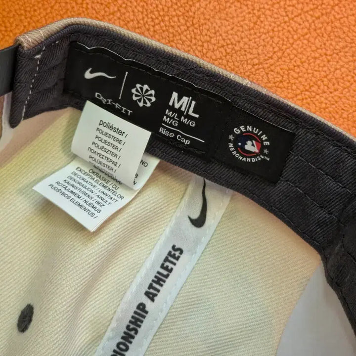 [BUNJANG] Nike C16 Hat / (새상품) 나이키 모자 c16