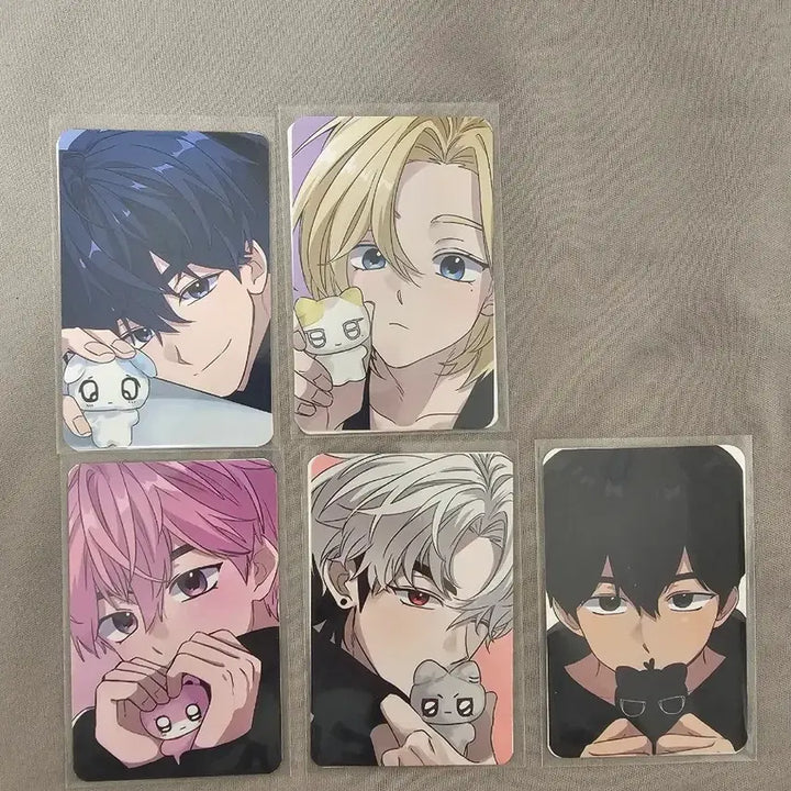 [BUNJANG] PLAVE Plush Doll / [원가이하] 플레이브 비공식 인형 플부땅 양도