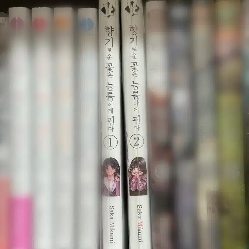 [BUNJANG] Fragrant Flowers Bloom Gracefully Vol. 1-2 Novel / 향기로운 꽃은 늠름하게 핀다 1-2권 향늠꽃