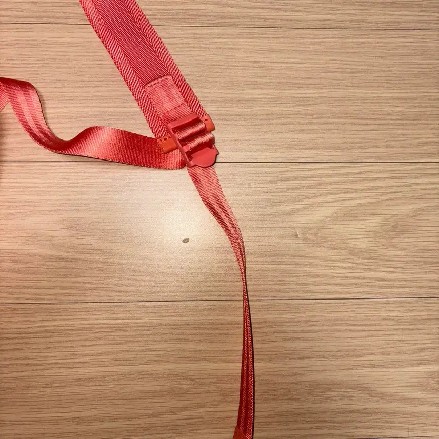 [BUNJANG] Pleats Please Backpack / 플리츠플리즈 바이어스 백팩