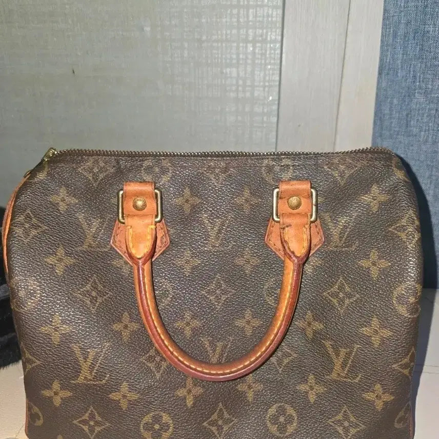 [BUNJANG] Louis Vuitton Speedy Monogram Bag / 루이비통 스피디 모노그램 가방