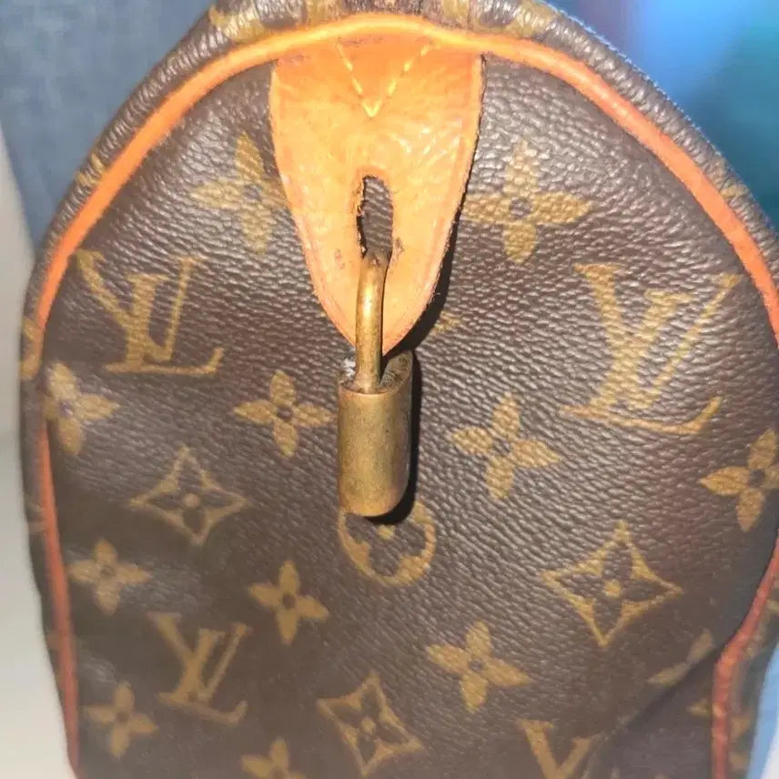 [BUNJANG] Louis Vuitton Speedy Monogram Bag / 루이비통 스피디 모노그램 가방