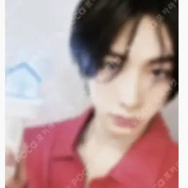 [BUNJANG] Han Tae-san Photocard Bundle Set / 한태산 포카 일괄