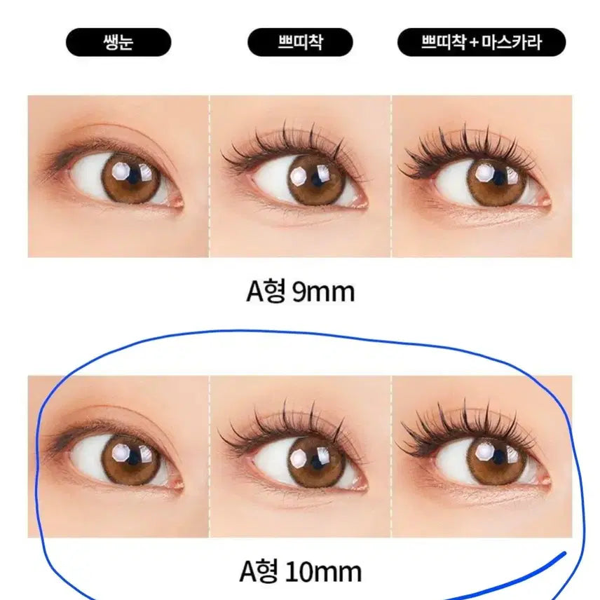 [BUNJANG] Merry So-Do 10mm Individual Eyelash Extensions Bundle Set / (5개일괄)메리쏘드 쁘띠착 A형 10mm 가닥 속눈썹 120pcs 새상품