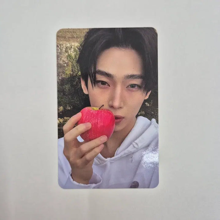 [SOLD OUT] 엔하이픈 더신배니쉬 엔진반 앨포 선우