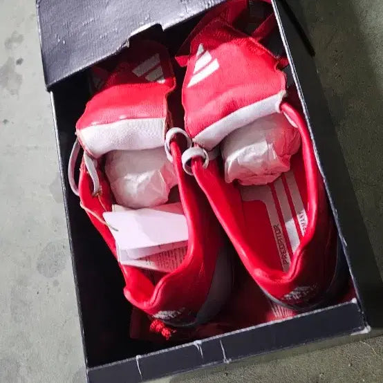 [BUNJANG] Predator Mania [265] / 프레데터 매니아[265]