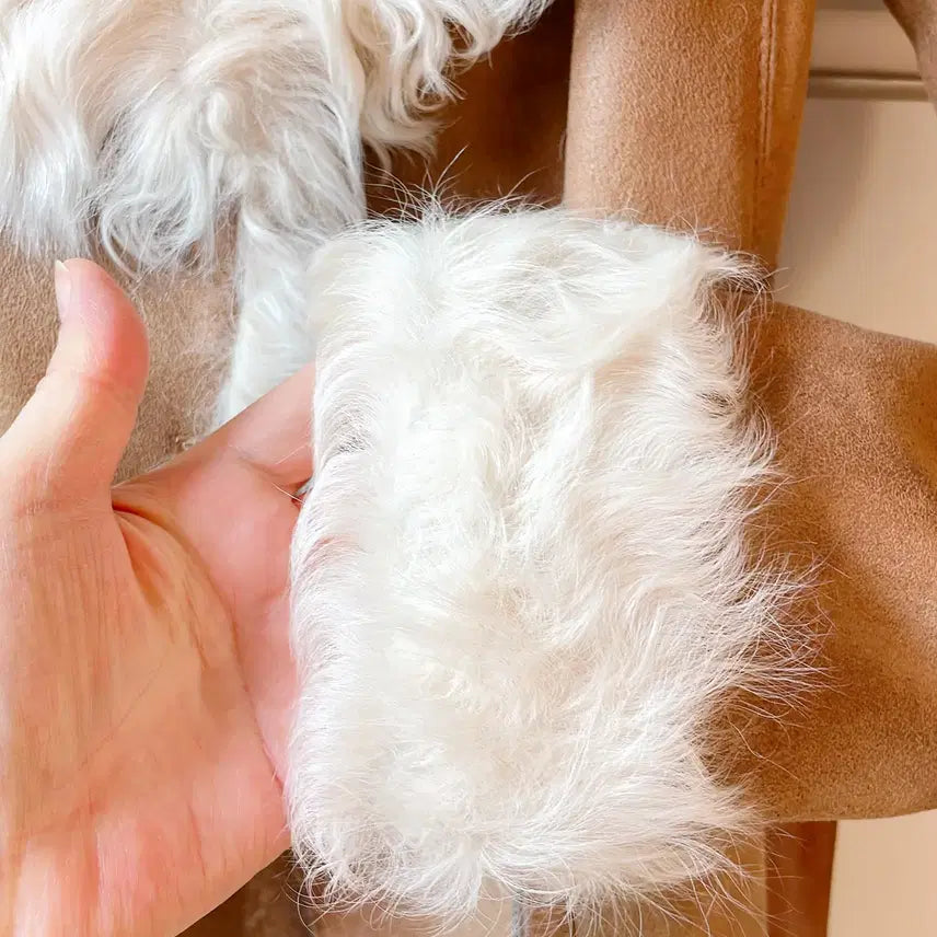 [BUNJANG] JILLSTUART Camel Shearling Fur Collar Mouton Coat / [새상품] JILLSTUART 질스튜어트 양털 퍼 칼라 카멜 무스탕 코트