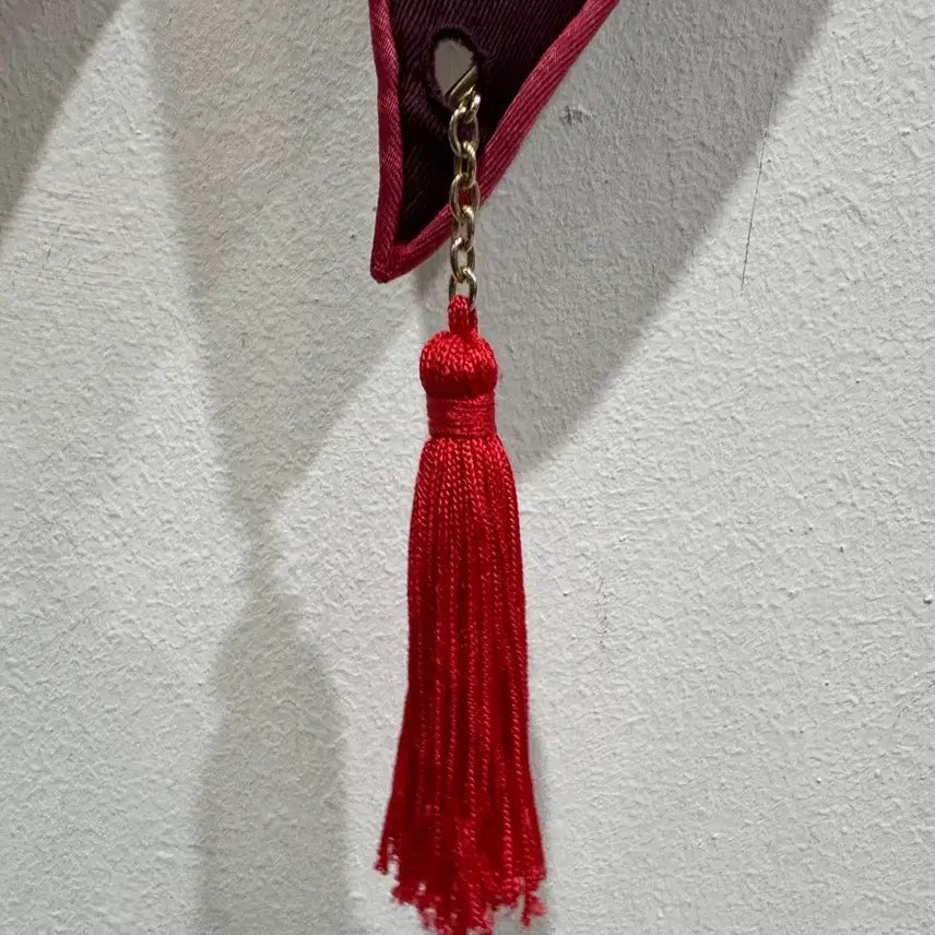[BUNJANG] Hermès Silk Scarf Burgundy Tiger / 에르메스 실크 스카프 버건디 호랑이 정품