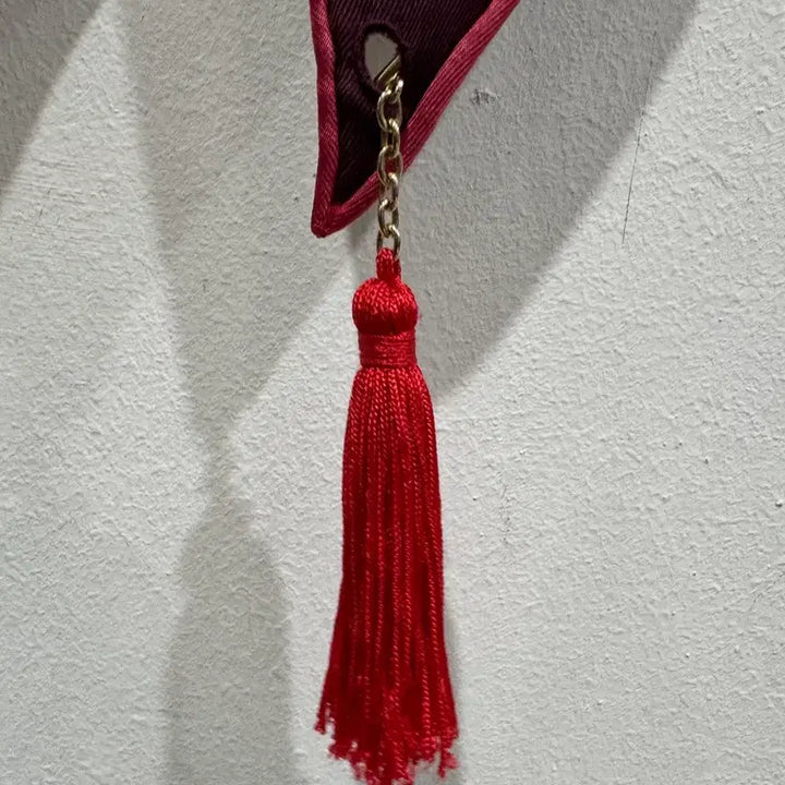 [BUNJANG] Hermès Silk Scarf Burgundy Tiger / 에르메스 실크 스카프 버건디 호랑이 정품