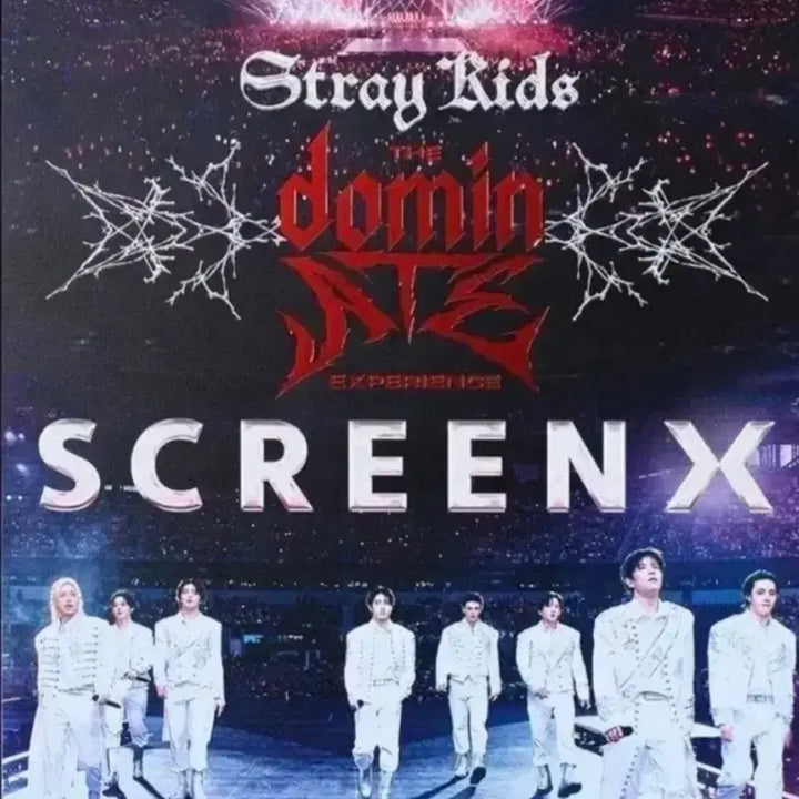 [BUNJANG] Stray Kids Screen X Poster / 스트레이키즈 스크린x 포스터 2장