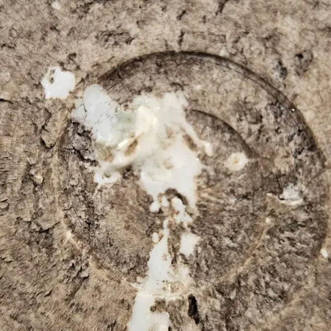 [BUNJANG] Antique Celadon Porcelain Mandarin Duck Vase / 260417-5 투채 원앙문 매병