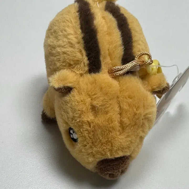 [BUNJANG] Light Stick Keyring / 멧돼지 초롱 인형 키링 10cm