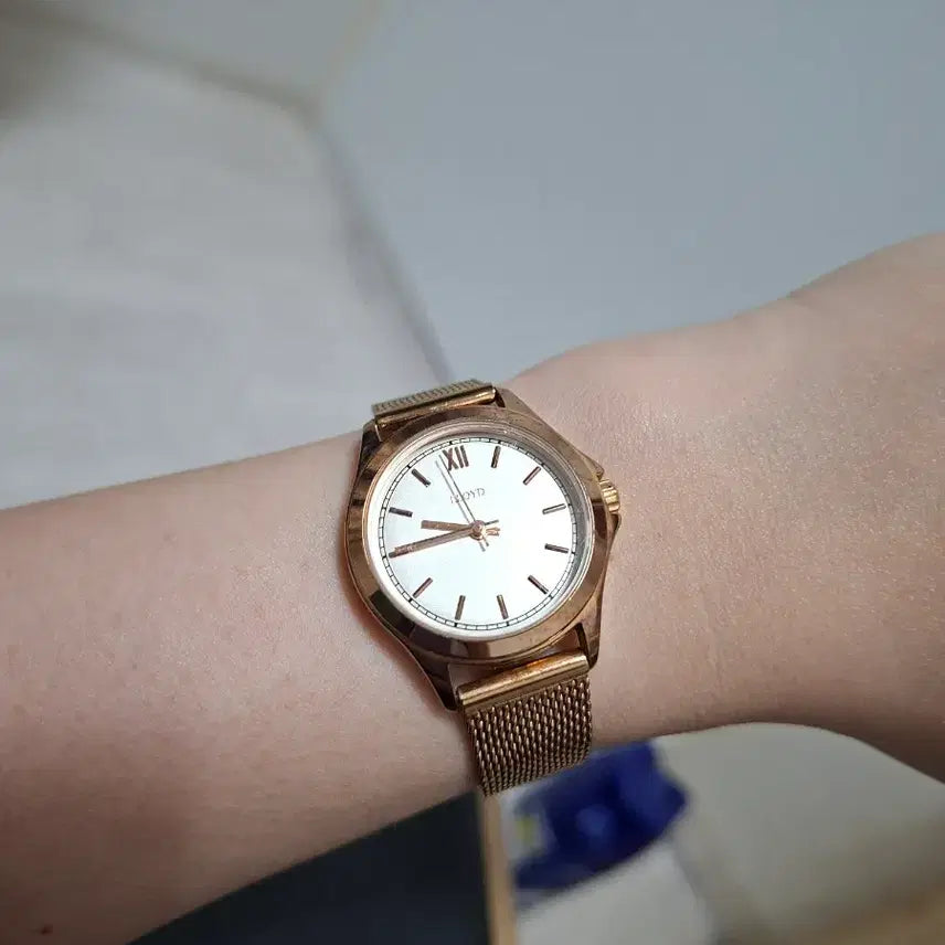 [BUNJANG] Lloyd Women's Mesh Watch (Set of 2) / 로이드 여성 메쉬 손목시계 2종