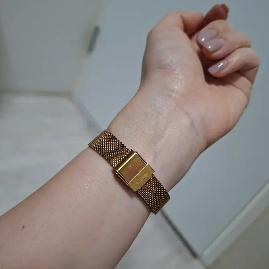 [BUNJANG] Lloyd Women's Mesh Watch (Set of 2) / 로이드 여성 메쉬 손목시계 2종