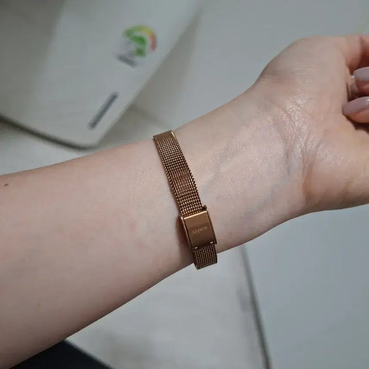 [BUNJANG] Lloyd Women's Mesh Watch (Set of 2) / 로이드 여성 메쉬 손목시계 2종