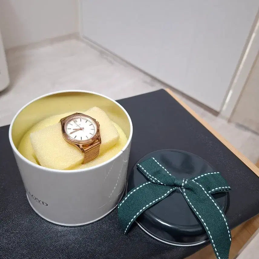 [BUNJANG] Lloyd Women's Mesh Watch (Set of 2) / 로이드 여성 메쉬 손목시계 2종