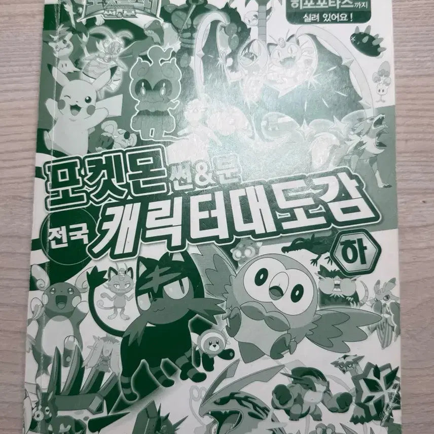 [BUNJANG] Pokemon Character Daedogam Book / 포켓몬스터 포켓몬 캐릭터대도감 책 상 하