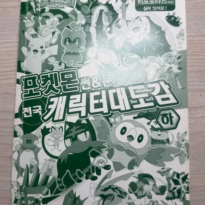 [BUNJANG] Pokemon Character Daedogam Book / 포켓몬스터 포켓몬 캐릭터대도감 책 상 하