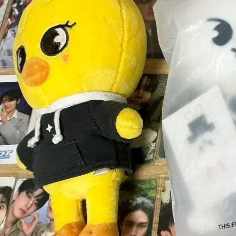 [BUNJANG] Stray Kids BbokAri Doll / 스키주 뽁아리 인형 양도