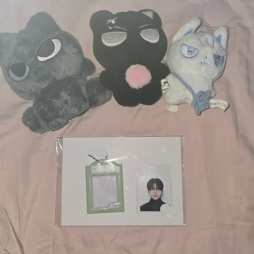 [BUNJANG] ENHYPEN Nicholas Concert ID Photo Holder / Second to None 세투논 앤팀 니콜라스 콘서트 증명사진 홀더