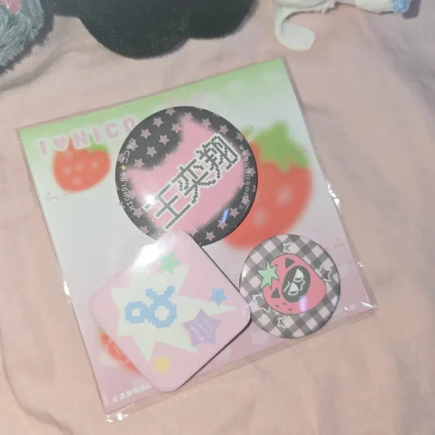 [BUNJANG]  &amp;TEAM Nicholas Badge Set / 앤팀 니콜라스 뱃지 세트 왕이샹