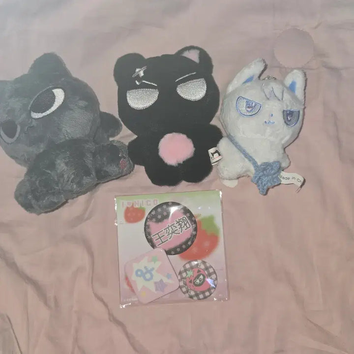 [BUNJANG]  &amp;TEAM Nicholas Badge Set / 앤팀 니콜라스 뱃지 세트 왕이샹