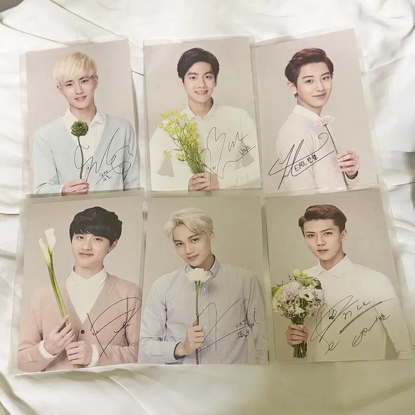 [BUNJANG] EXO Nature Republic Postcard Set / 엑소 네이처리퍼블릭 엽서세트