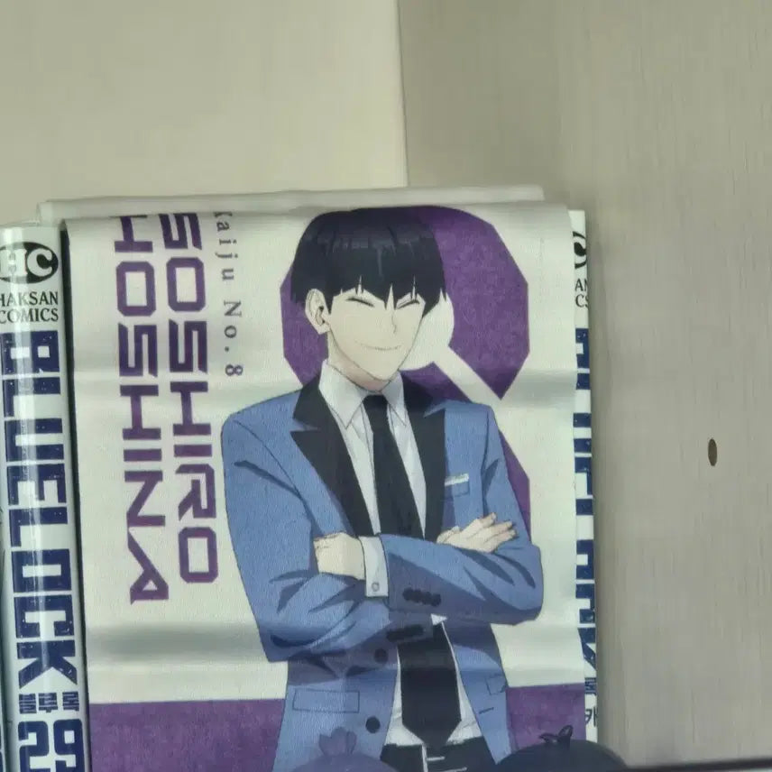 [BUNJANG] Kaiju No. 8 Hoshina Bundle Set / (무료배송 급처) 괴수8호 호시나 굿즈 일괄