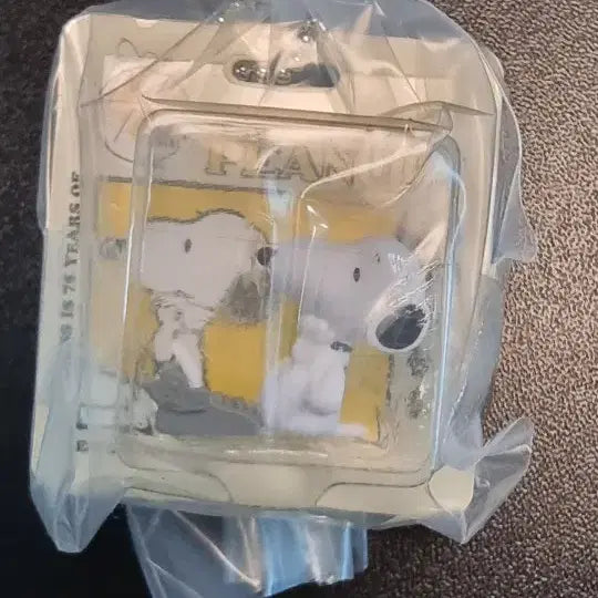 [BUNJANG] Bandai Snoopy 75th Anniversary Miniature Package Keyring Gacha / (미개봉) 반다이 스누피 75주년 미니어쳐 패키지 키링 가챠 2000s