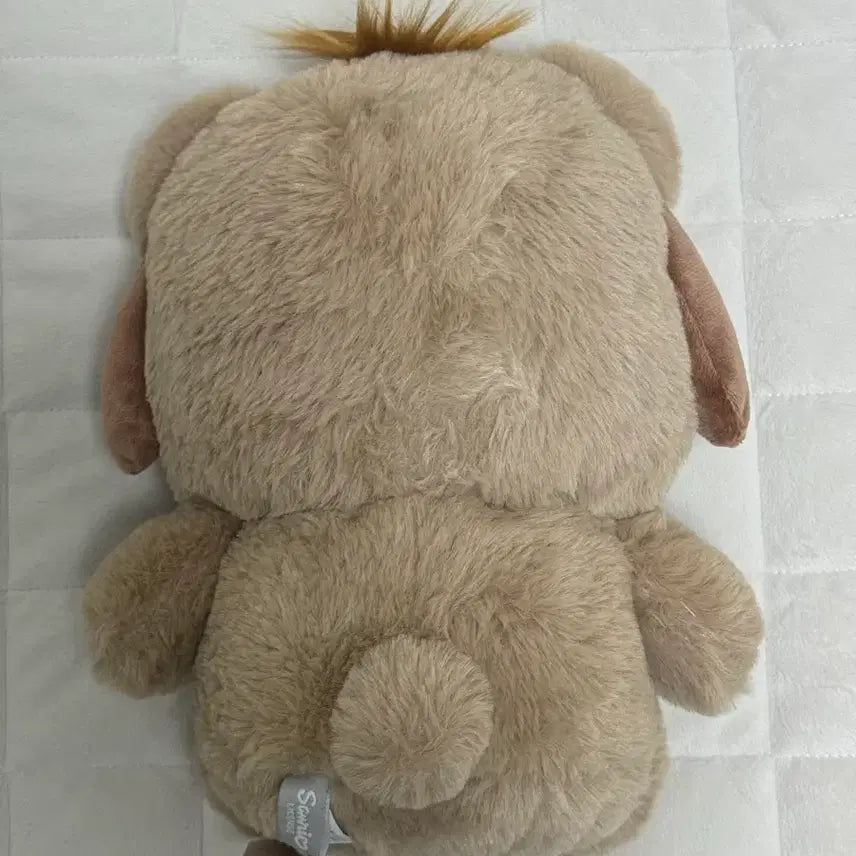 [BUNJANG] Sanrio Pochacco Latte Bear Plush / 포차코 라떼베어 봉제인형 판매