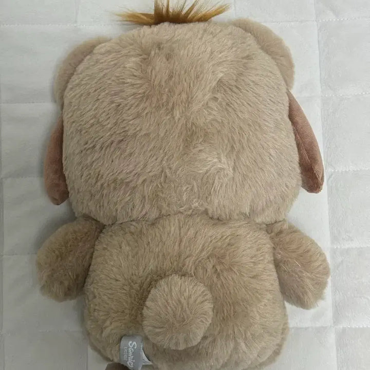 [BUNJANG] Sanrio Pochacco Latte Bear Plush / 포차코 라떼베어 봉제인형 판매