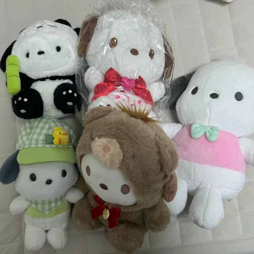 [BUNJANG] Sanrio Pochacco Latte Bear Plush / 포차코 라떼베어 봉제인형 판매