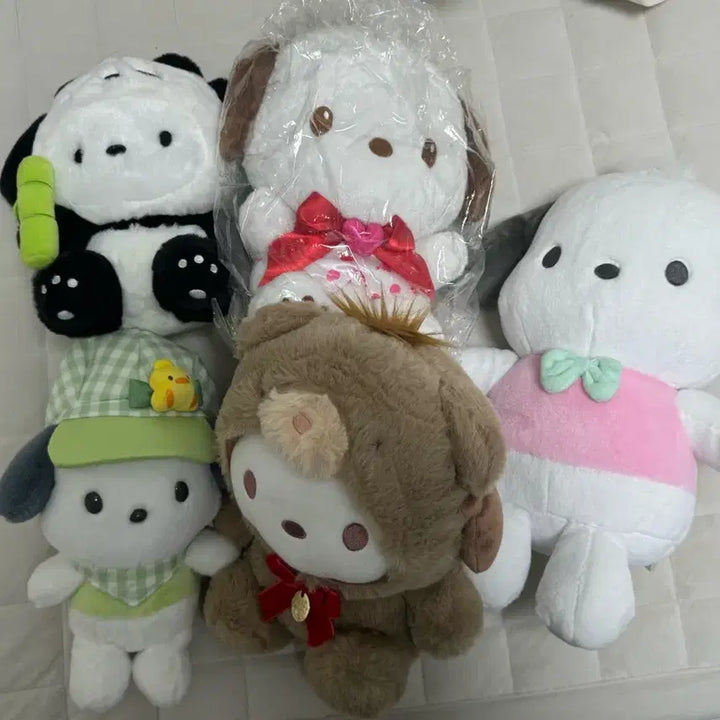 [BUNJANG] Sanrio Pochacco Latte Bear Plush / 포차코 라떼베어 봉제인형 판매