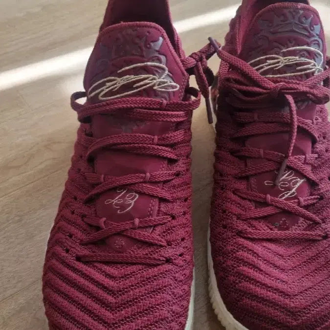 [BUNJANG] Nike Lebron 16 Burgundy Basketball Shoes (Size 290) / 나이키 르브론 16 버건디 농구화290
